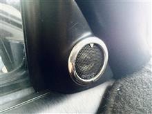 ハイラックス　カーボン　ツィーターカバー　純正交換 新型ハイラックスのスピーカー交換＆ツイーター交換とドアの