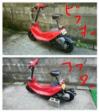 ズーク(ホンダ) | PASSOLの愛車 | みんカラ