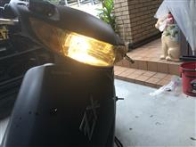 前期ZXはイエローレンズでしょう( ◠‿◠ )（ホンダ ライブ