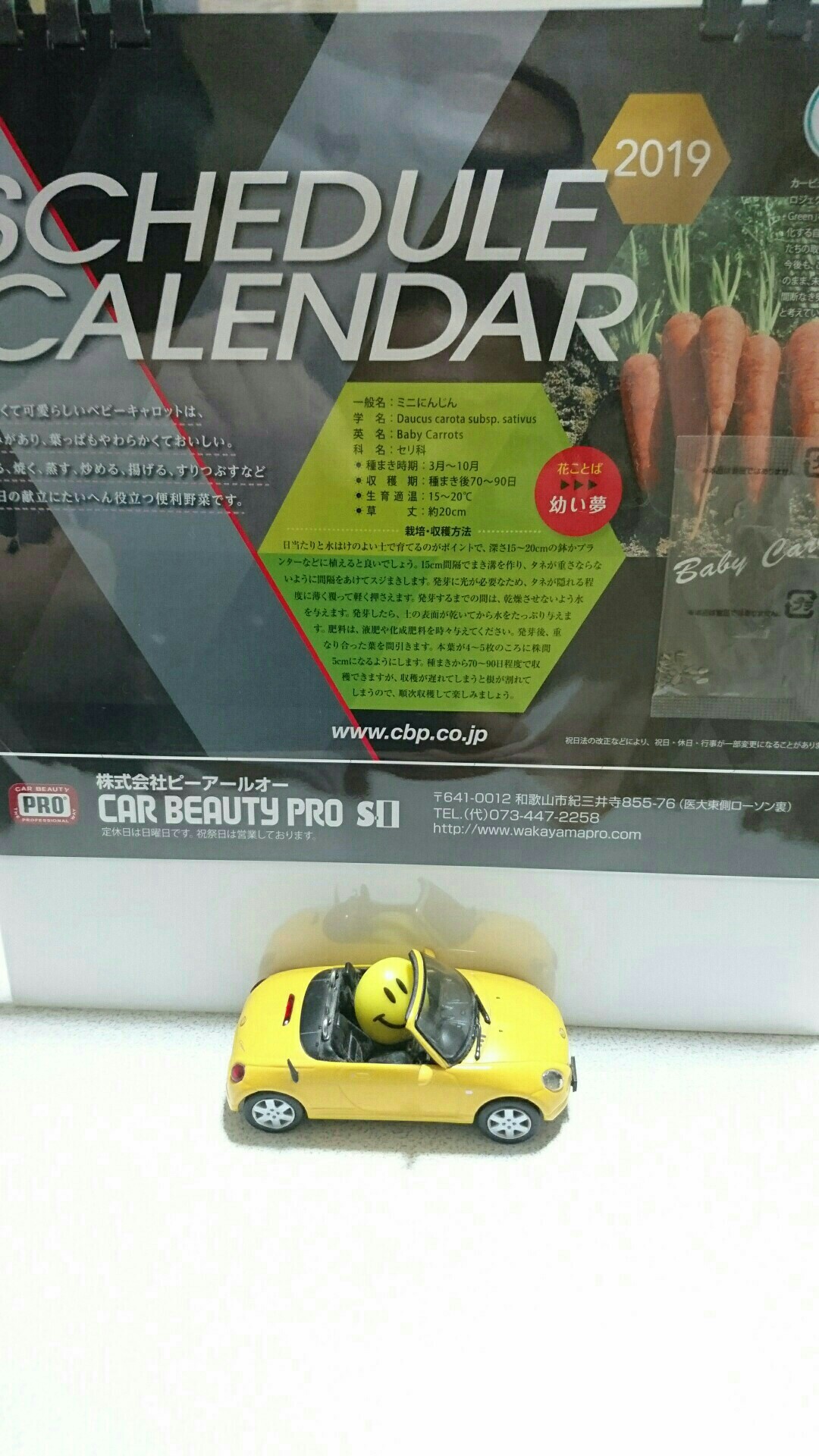 カービューティープロエスアイ