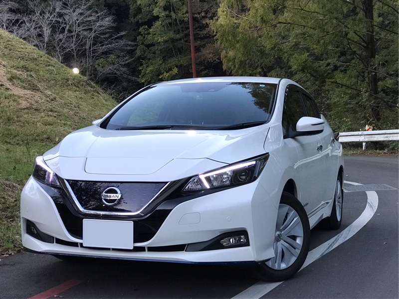 ハロゲンヘッドランプ 車幅灯ライン発光化（日産 リーフ・ZE1