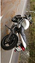 テール周りカスタム（ホンダ VTR250）by hiro423 - みんカラ
