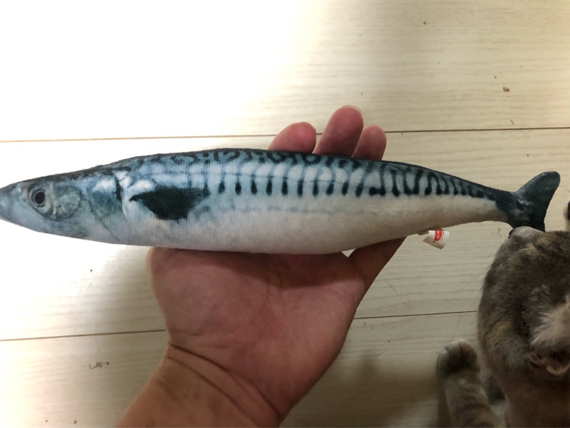 ネコ 猫用 じゃれぐるみ サバ またたび100% by 百式! - みんカラ ネコ 猫用 じゃれぐるみ サバ またたび100% by 百式! - みんカラ