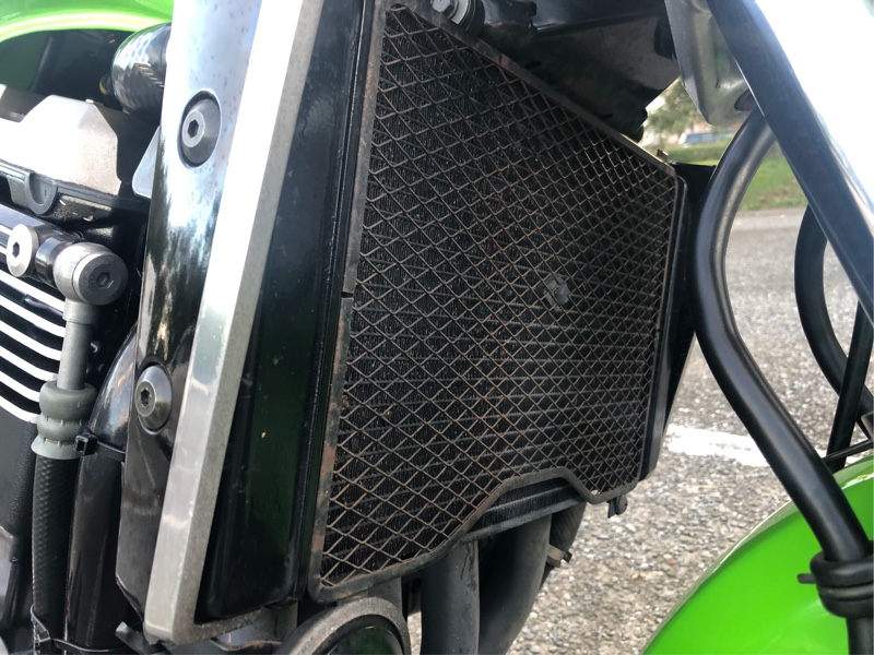 【期間限定送料無料】 ラジエターコアガード ZRX1200R - その他