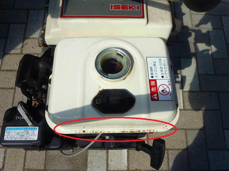 backend=imagemagick;version=1;