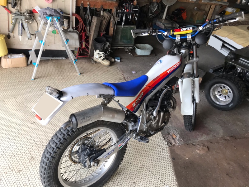 TLR】自作リアフェンダー(ホンダ TLR250R)by 犬も歩けば棒にア◯ル - みんカラ
