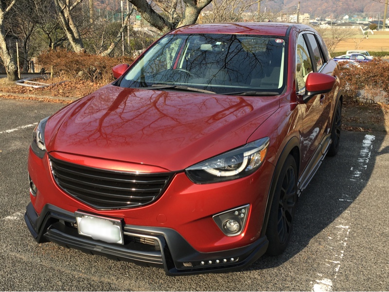 最大68%OFFクーポン CX-3 DK5FW DK5AW Wウイング ルーフスポイラー 塗装済 チタニウムフラッシュマイカ 42S fucoa.cl 最大68%OFFクーポン CX-3 DK5FW DK5AW Wウイング ルーフスポイラー 塗装済 チタニウムフラッシュマイカ 42S fucoa.cl