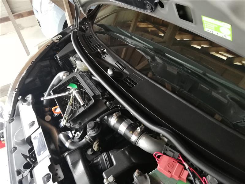 ホンダ ライフ JB7 JB5 カウルトップ ラメ入り