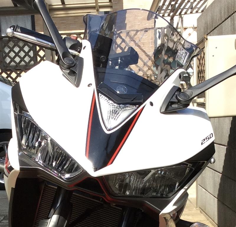 フロントカウルのカラーチェンジ（ヤマハ YZF-R25）by たこ焼き
