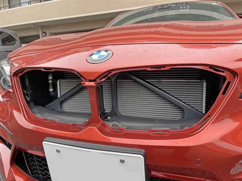 キドニーグリルにメッシュ取り付け（BMW M2 クーペ・F87）by