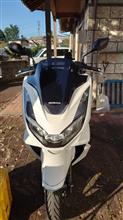 TWR製ロングスクリーン取り付け(ホンダ PCX)by ジム&ジャイロ - みんカラ