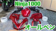 KAWASAKI カワサキ Ninja1000 タンク サイドカウル アッパー