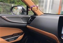 レクサスNX フロントドアトリムオーナメントパネル 新型NXのドア（レクサス NX PHEV・AAZH20系）by gonbe - みんカラ