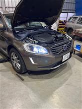 右ヘッドライト磨き(ボルボ XC60・初代)by つうパパ - みんカラ 右ヘッドライト磨き(ボルボ XC60・初代)by つうパパ - みんカラ