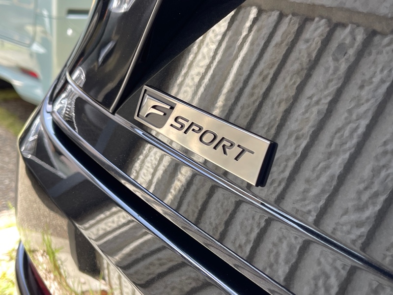 F SPORTエンブレムブラック塗装（レクサス NXハイブリッド