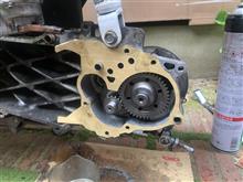 Pplini Moroe ハイギア 15x42T その3（ホンダ Live Dio (ライブ