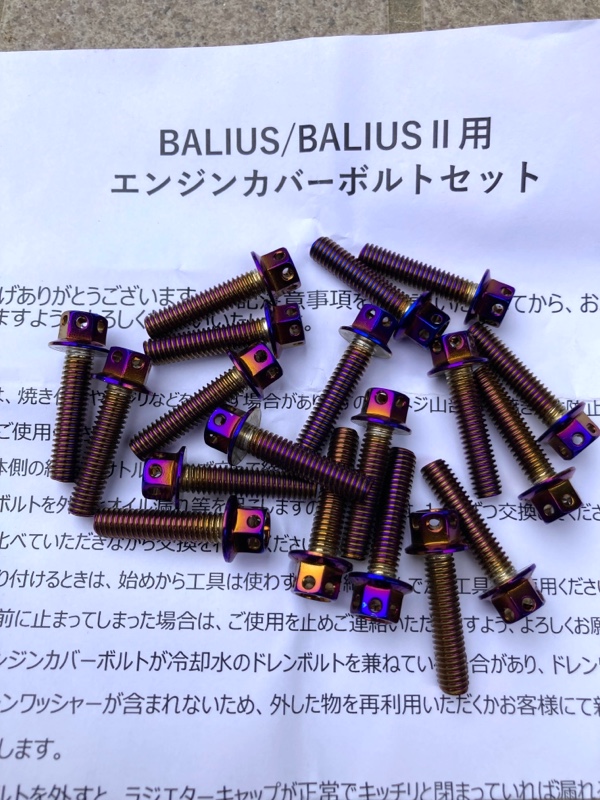 クラッチ&ジェネレーターカバーボルト交換（カワサキ バリオスII
