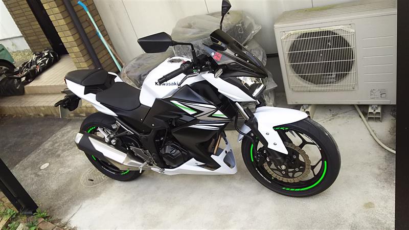 Amazon.co.jp: リムステッカー に適合するカワサキ Z 250 Z250
