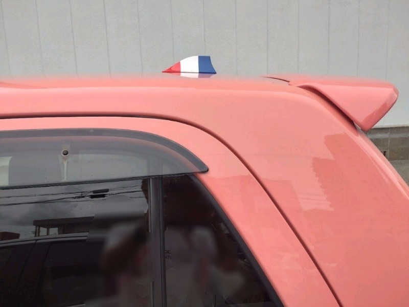 シャークフィンアンテナ 🇫🇷カラーをルーフに取り付けました。