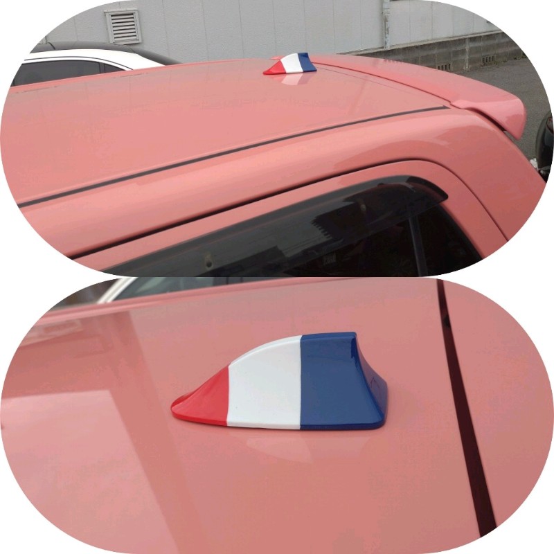 シャークフィンアンテナ 🇫🇷カラーをルーフに取り付けました。