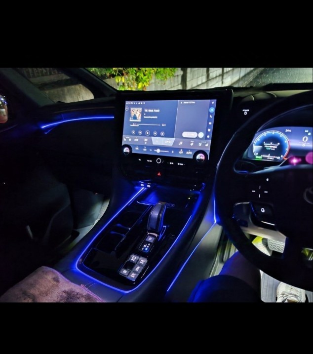 40系アルファード】車内を明るく自分だけの色に染め上げる❕車内