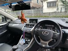 ステアリング交換 GHOST EXPOD