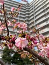整備1の説明