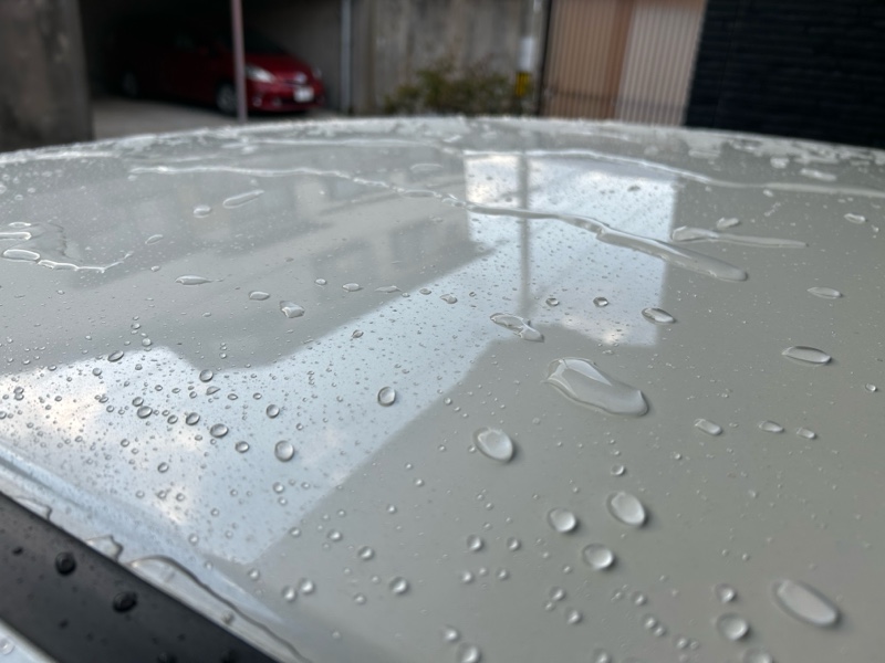 お花見前のライトメンテナンス洗車