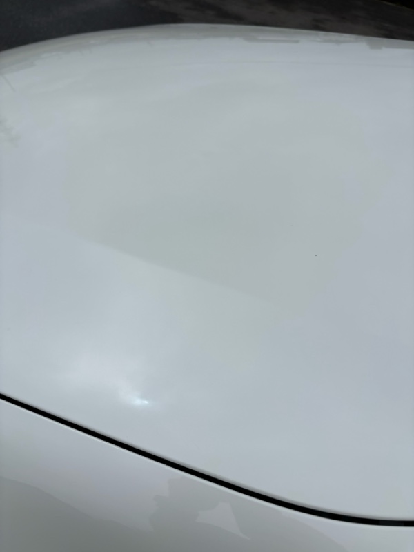 雨の高速後はやっぱり洗車