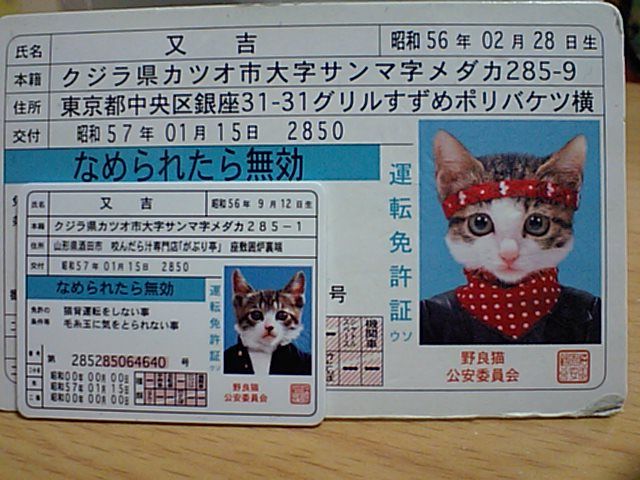 エポック社 なめ猫 ミニ免許証 のパーツレビュー サンバー 赤ん坊 みんカラ エポック社 なめ猫 ミニ免許証 のパーツレビュー サンバー 赤ん坊 みんカラ