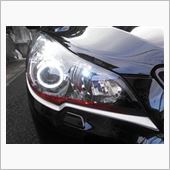 ENRICH CTI チークライン