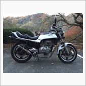 パステルロード スネーク