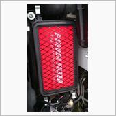 MONSTER SPORT / TAJIMA MOTOR CORPORATION POWER FILTER 2