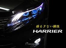 30系 ハリアー高輝度エクストリームホワイトLED イカリング