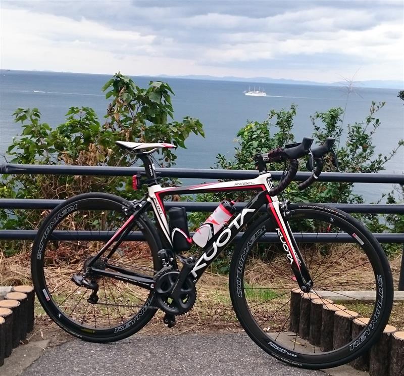 reynolds assault tubeless