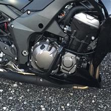 ゴールドメダル スラッシュガード のパーツレビュー | Z1000(やすみ ゴールドメダル スラッシュガード のパーツレビュー | Z1000(やすみ