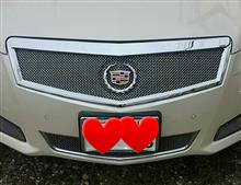ATSE&G クロームアッパーグリルの全体画像