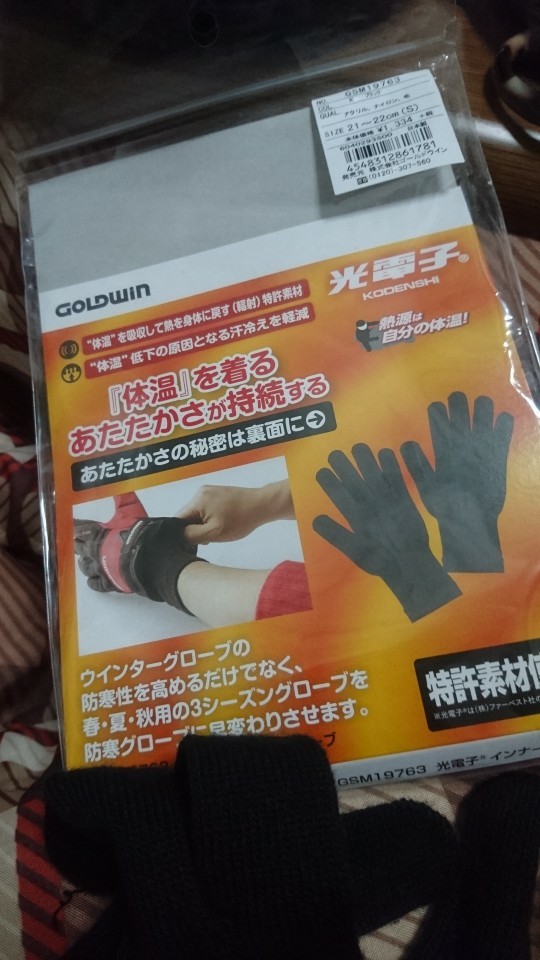 Goldwin 光電子 インナーグローブ のパーツレビュー ホーネット250 いにー みんカラ