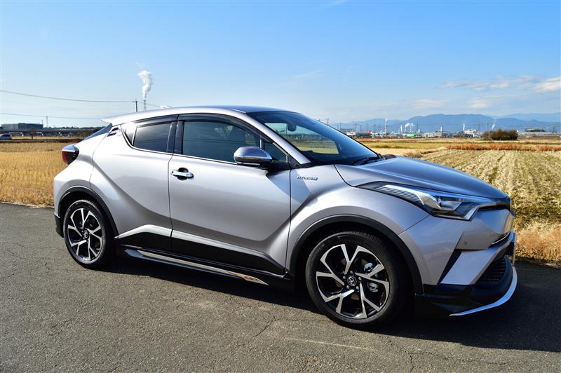 300系ランドクルーザーZX【モデリスタ装着車専用