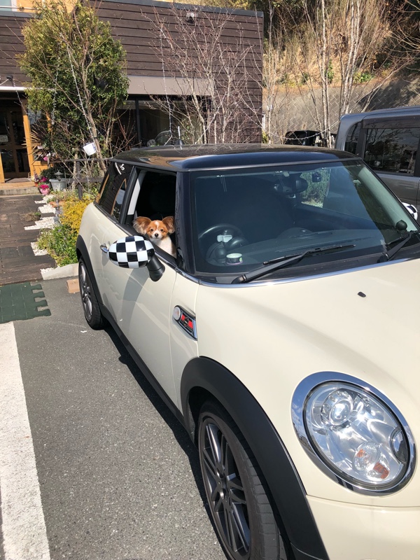 BMW MINI(純正) ドアミラーカバー チェッカーフラッグ のパーツレビュー | MINI(アソパソマソ07) | みんカラ