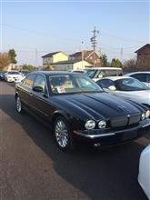 XJシリーズジャガー(純正) クロームメッキグリルの全体画像