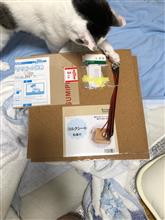 みんカラ セリア コルクシートのキーワード検索結果一覧