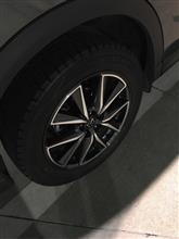 WINTER MAXX SJ8 225/55R19 DUNLOP(ダンロップ / スミトモゴム ...