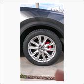 WINTER MAXX SJ8 225/55R19 DUNLOP(ダンロップ / スミトモゴム ...