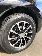 BRIDGESTONE BALMINUM TR10 ブリジストン バルミナ tr10 16