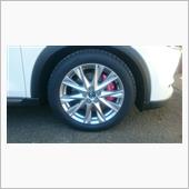 WINTER MAXX SJ8 225/55R19 DUNLOP(ダンロップ / スミトモゴム ...