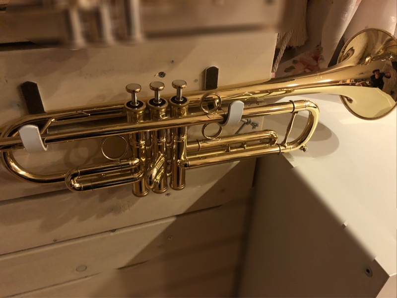 キャロルブラス ゾロ のパーツレビュー | 楽器(nontomo) | みんカラ
