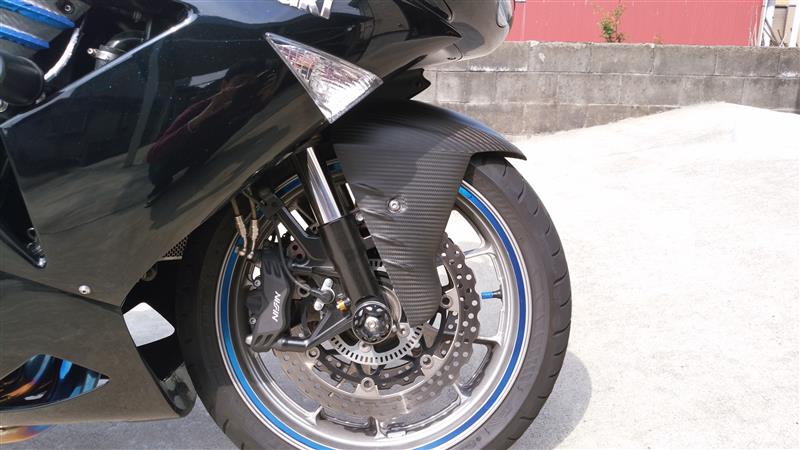 NEXRAY CARBON DRY ネクスレイカーボンドライ リアフェンダー