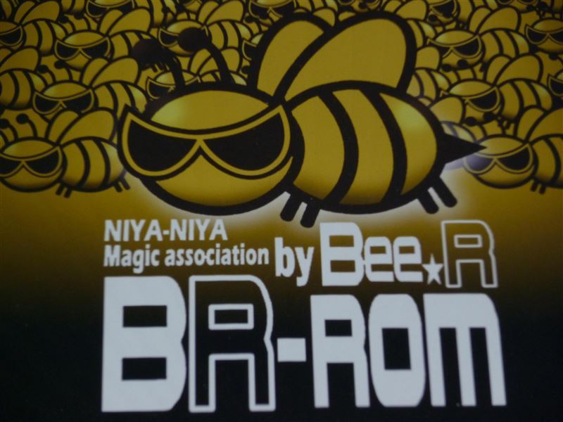 BR-ROM