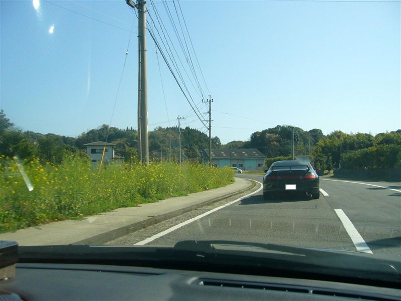 菜の花とＦＴＯ